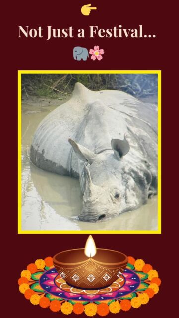 Where the wild meets the festival 🐘🌸
Rongali Bihu, also known as Bohag Bihu, marks the Assamese New Year and the arrival of spring in Assam.
From vibrant dances and festive flavours to the wild beauty of Kaziranga National Park, this is where culture and nature come alive together.
🌊 Where the river tells its story
✨ Where every moment feels alive
Where are you?
I’m in Assam 🌿
👉 www.cookingtantra.com
#rongalibihu #assam #kaziranga #cookingtantra #travelreels