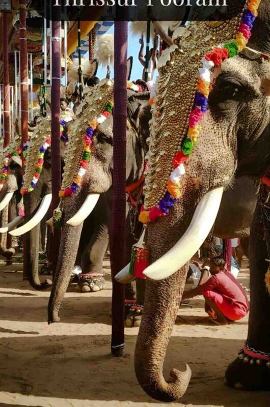 Indian Travel Videos & Traditions