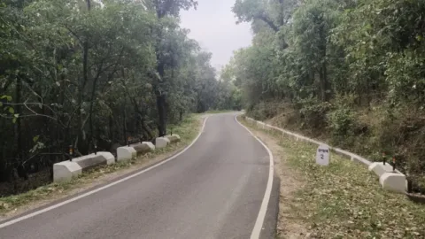 Dalhousie itinerary: forest road leading to Dalhousie