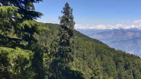 Dalhousie itinerary: Kalatop Wildlife Sanctuary
