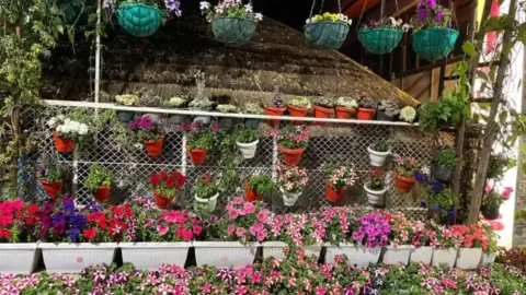 Kaziranga Orchid and Biodiversity Park