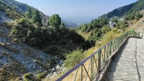 Trail to Bhagsu waterfall