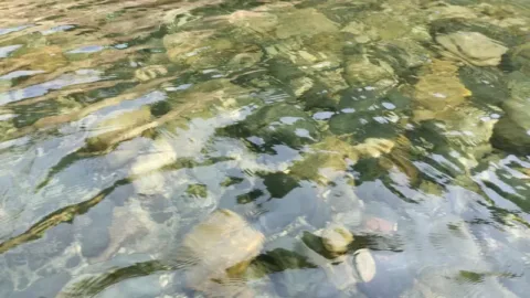 Crystal-clear water of the Umngot river, Meghalaya