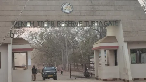 Pench safari: Turia Gate entrance to Pench Tiger Reserve