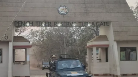 Pench safari guide: Turia Gate with safari jeep